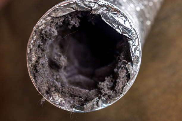 Best Air Vent Cleaning Services  in West Pittston, PA