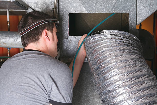 Best Air Duct Mold Removal  in West Pittston, PA